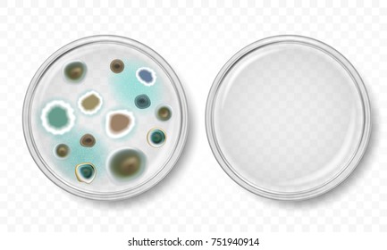 Vector petri dish with molds