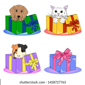 vector pets in boxes clipart icons set