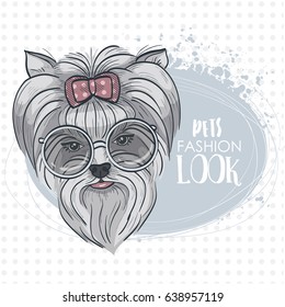 Vector pets fashion look