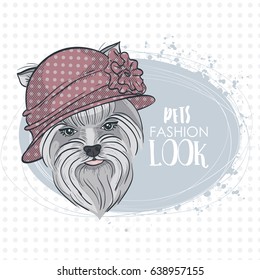 Vector pets fashion look