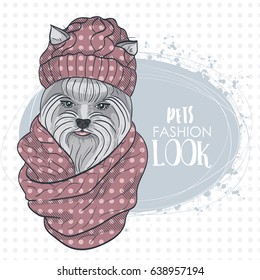 Vector pets fashion look
