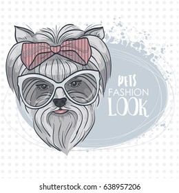 Vector pets fashion look