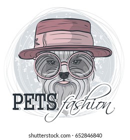 Vector pets fashion look