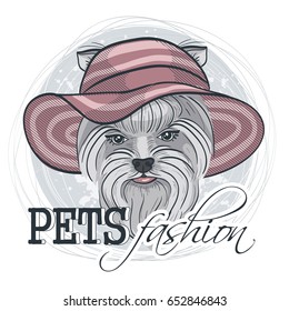 Vector pets fashion look