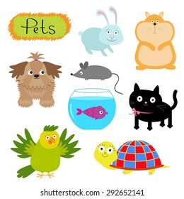 Vector pets illustration isolated Cute set White background Cat, dog, fish, hamster, parrot, turtle, rabbit Flat design Vector illustration