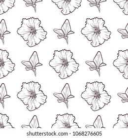 Vector petunya seamless pattern of flowers