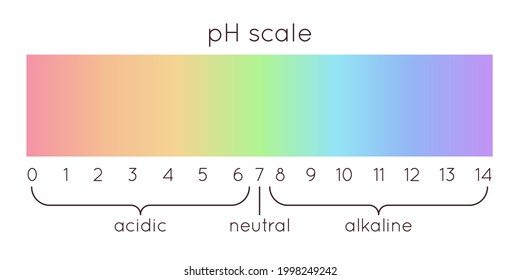 Vector PH Scale. Acidic To Normal To Alkaline Diagram. Rainbow Laboratory Paper Indicator. Chemistry Science Concept. Balance Measurement Spectrum.