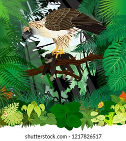 Vector philippine Eagle with monkey in jungle rainforest