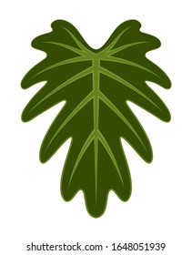 Vektorillustration-Philodendron-Blatt einzeln auf weißem Hintergrund