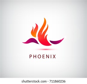 Vector phoenix bird icon, logo, illustration isolated. Use for identity, etc.