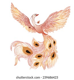 Vector phoenix bird on white background