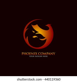 Vector of Phoenix logo Design template. good for your company logo.