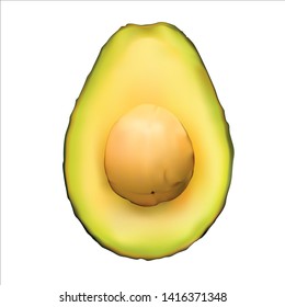 Vector photo realistic illustration avocado