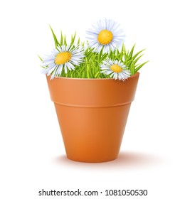 Vector Photo Realistic Illustration Of The Flowerpot With Green Fresh Grass And Flowers Isolated On White