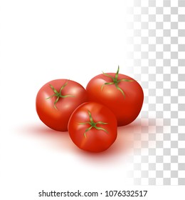 Vector Photo Realistic Illustration Of Red Fresh Tomatos On Transparent Background