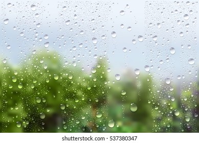 Vector Photo Realistic Image Of Raindrops On Window Glass At Spring In The Garden