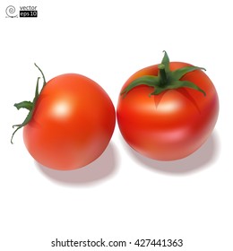 vector photo realistic pair of red tomatoes