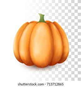 Vector Photo Realistic Pumpkin Illustration On The Transparent Background. Front Close Up View