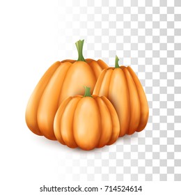 Vector Photo Realistic Pumpkins Illustration On The Transparent Background. Front Close Up View