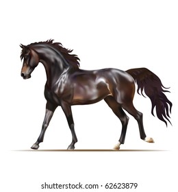 Vector photo realistic running dark bay horse