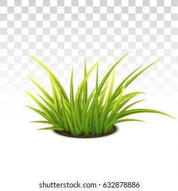 Vector Photo Realistic Tussock Of Green Fresh Grass.
