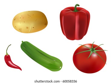 vector photo realistic vegetables on white background