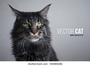 Vector photorealistic cat Maine coon. Stern look and black wool of wild animal. For pets template, veterinary design, kitty nature concept. Artistic mesh illustration. Graphic for t-shirt printing.