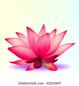 Vector photo-realistic lotus flower