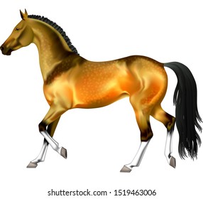 Vector photorealistic running buckskin horse isolation on white background