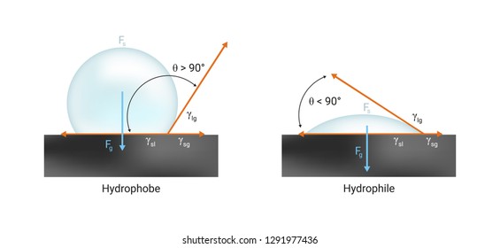 Vector physics scientific icon or illustration of surface tension. Hydrophilic and hydrophobic wetting the solid surface with liquid. Contact angle < 90° and > 90°. Illustration is isolated on white.