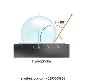 Vector physics scientific icon or illustration of surface tension. Hydrophobic poor wetting the solid surface with liquid. Contact angle >90°. Illustration is isolated on a white background.
