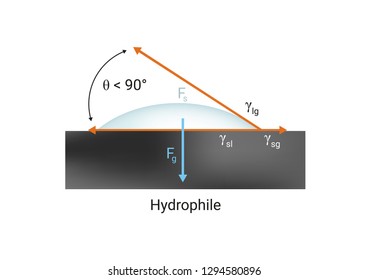 Vector physics scientific icon or illustration of surface tension. Hydrophilic good wetting the solid surface with liquid. Contact angle <90°. Illustration is isolated on a white background.