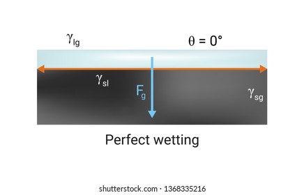 Vector physics scientific icon or illustration of surface tension. Parfect wetting of the solid surface by liquid. Contact angle is zero 0°. Illustration is isolated on a white background.