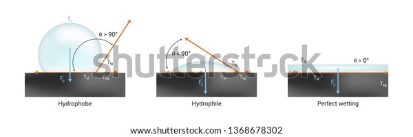 Vector physics scientific icon of surface tension.\
Hydrophilic, hydrophobic and perfect wetting the solid surface with\
liquid. Contact angle < 90° and > 90° and zero 0°\
isolated on white.