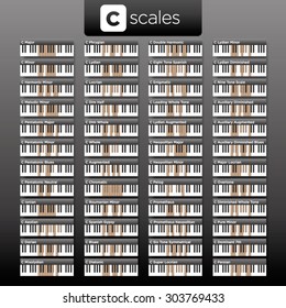Vector piano C scales visual dictionary