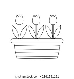 Vector picture of black and white tulips in pots on white background.