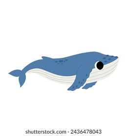 Vector picture of blue humpback whale isolated on white background.