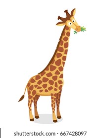 Vector picture of cartoon character giraffe with long neck chewing leaves, grass, illustration for a children book. Long-necked mammal hoofed animal.