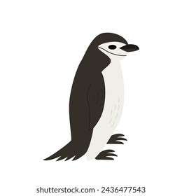 Vector picture of chinstrap penguin isolated on white background.