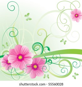 vector picture cosmea banner pretty pink