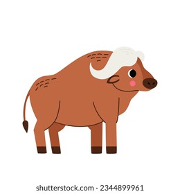 Vector picture of cute African buffalo isolated on white background.