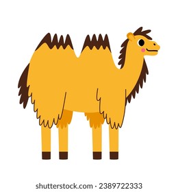 Vector picture of cute cartoon bactrian camel isolated on white background.