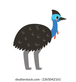 Vector picture of cute cartoon cassowary isolated on white background.
