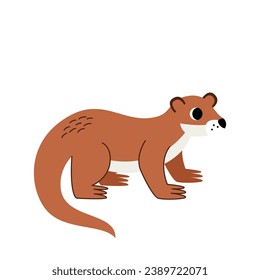 Vector picture of cute cartoon otter isolated on white background.