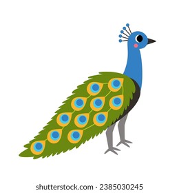 Vector picture of cute cartoon peacock bird isolated on white background.