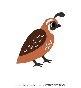 Vector picture of cute cartoon quail isolated on white background.