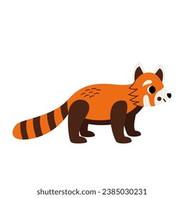 Vector picture of cute cartoon red panda isolated on white background.