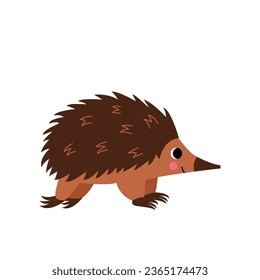 Vector picture of cute echidna isolated on white background.