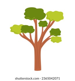 Imagen vectorial de un árbol de eucalipto lindo aislado en un fondo blanco.