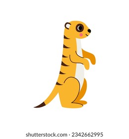 Vector picture of cute meerkat isolated on white background.